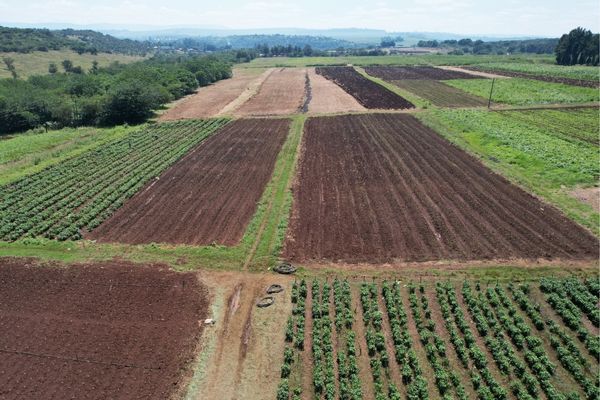 crop_fields